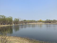 -东郊湿地公园