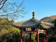 -香山公园