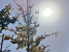 -一墨照相馆·证件照·形象照(世博店)
