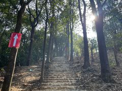 -广州市帽峰山景区