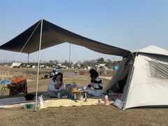 -春花秋色城市公园