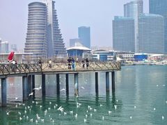 -日照世帆赛基地