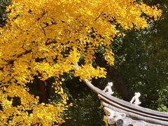 -汇龙潭
