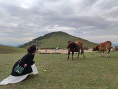 -大姆山草场