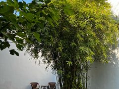 -南京市民俗博物馆(甘熙故居)