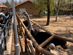 -大连森林动物园