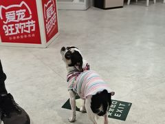 -纳吉亚猫专科动物医院·北北分院