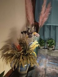 -琦品高端美容SPA会所