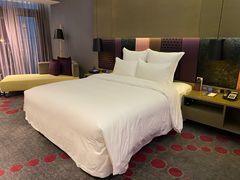 -南京禄口机场雅高铂尔曼大酒店