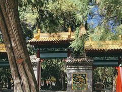 -黄帝陵
