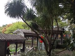-荔湾湖公园