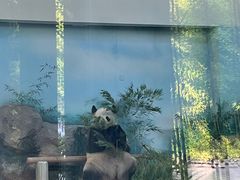 -苏州太湖国家湿地公园