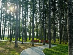 -仁和公园(顺义区)