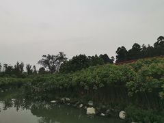-天府芙蓉园