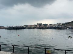 -大锅强·蒸海鲜青岛菜(吾悦广场店)