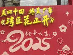 -越秀西湖花市(广州城市广场花卉店)