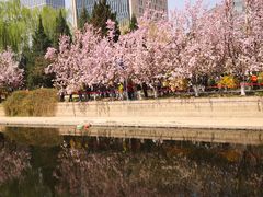 -海棠花溪(元大都城垣遗址公园)