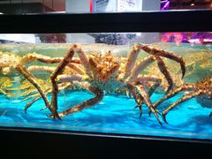 -无味饭店(九眼桥商业文化广场店)