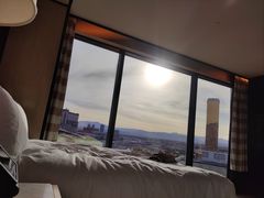 -拉斯维加斯永利酒店