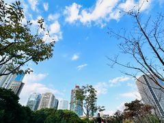 -新虹桥中心花园