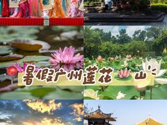 -广州莲花山旅游区