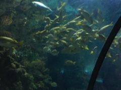 景点-郑州海洋馆