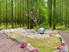 -黄海国家森林公园