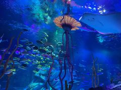 -沈阳海洋探索中心