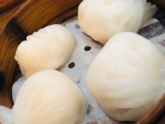 -添运来(茶园奥园广场店)