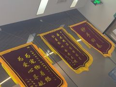 -中农国际动物医院24小时·猫科·骨科·急重症中心