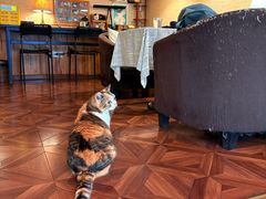 -隅cafe(傅厚岗店)