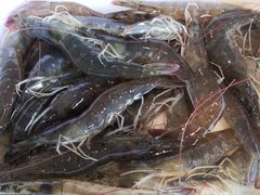 -蓝珊甄选海鲜自助·火锅大排档(近阿那亚店)