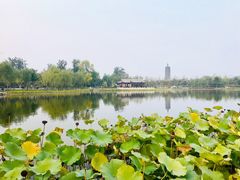 -西海子公园