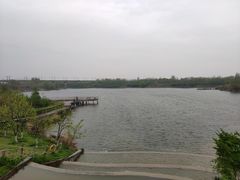 -西安浐灞国家湿地公园