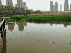 -前关湿地公园