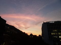 -香港大学