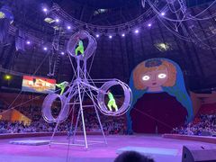 -俄罗斯国家大马戏团