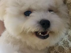 -瑞派名望24h动物医院异宠专科·猫专科·骨科·重症监护分院