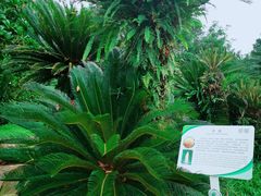 -华南国家植物园-售票处