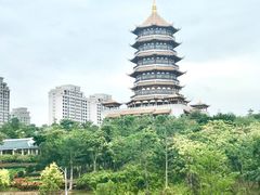 -厦门市图书馆(集美新城馆区)