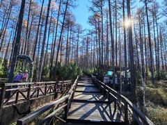 -莫尔道嘎国家森林公园