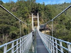 -九龙江国家森林公园