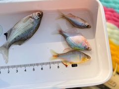 -蓝天路(地铁站)