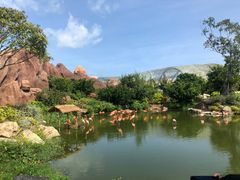 -芽庄珍珠岛游乐园