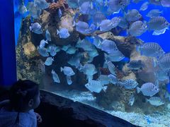 -多彩贵州城极地海洋世界