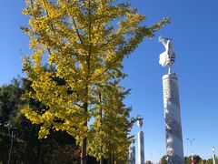 -丁香湖公园