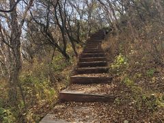 -白草畔自然风景区