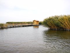 -乌梁素海景区