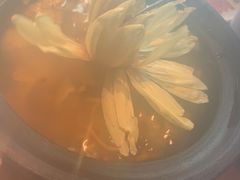 -映水芙蓉(上海万象城店)