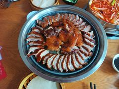 -守柴炉烤鸭(鱼嘴店)
